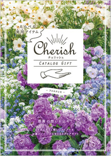 カタログギフト　チェリッシュ