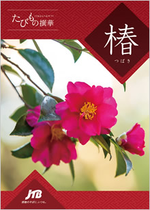 カタログギフト　たびもの撰華