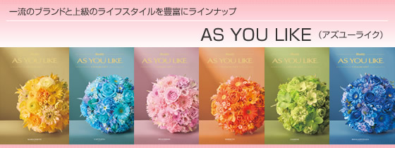 カタログギフト シャディ・アズユーライク(全用途)