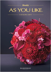 カタログギフト　アズユーライク（全用途）