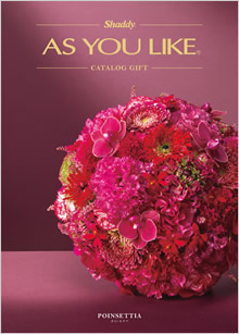 カタログギフト　アズユーライク（全用途）