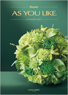 カタログギフト　アズユーライク（全用途）