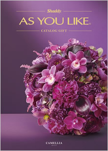 カタログギフト　アズユーライク（全用途）