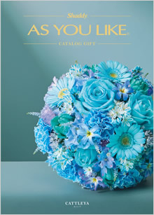 カタログギフト　アズユーライク（全用途）