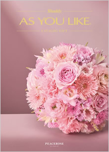 カタログギフト　アズユーライク（全用途）