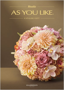 カタログギフト　アズユーライク（全用途）