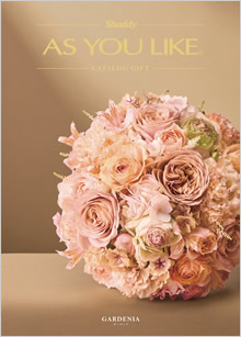 カタログギフト　アズユーライク（全用途）