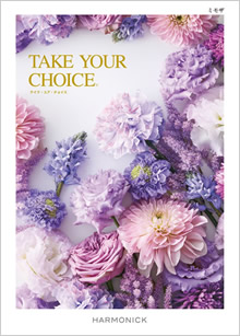 カタログギフト　テイクユアチョイス